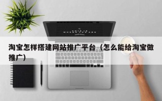 丹东淘宝怎样搭建网站推广平台（怎么能给淘宝做推广）